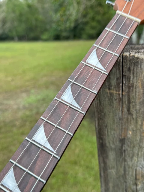 Ain't Life Grand Kit 3 or 4 String - Image 7