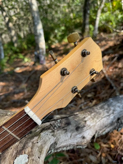 $25 off Andalusian Bull 3 or 4  String Kit - Image 6