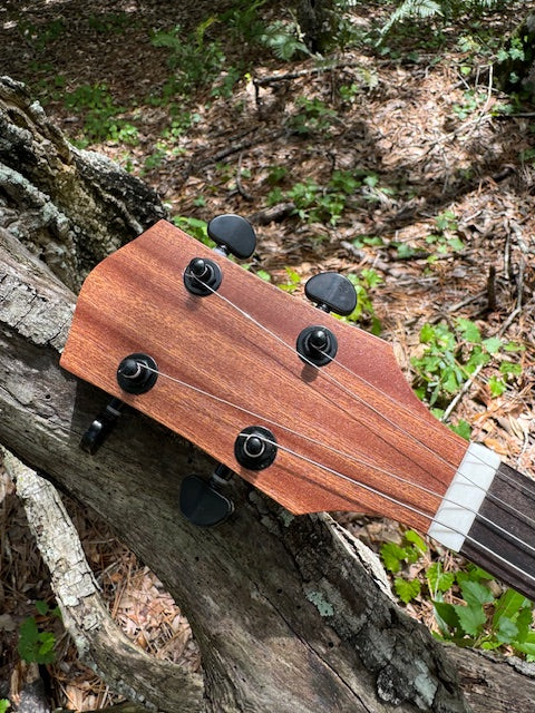 Black Brickhouse 3 or 4 String Kit - Image 3