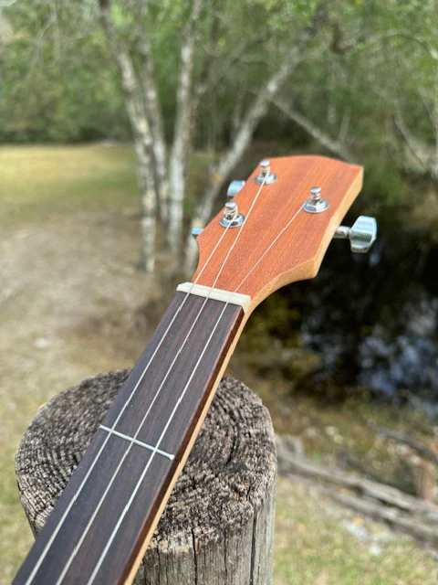Easy Neck Diatonic 24 inch Scale - Image 2