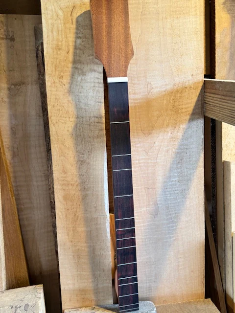 Easy Neck Diatonic 24 inch Scale - Image 5