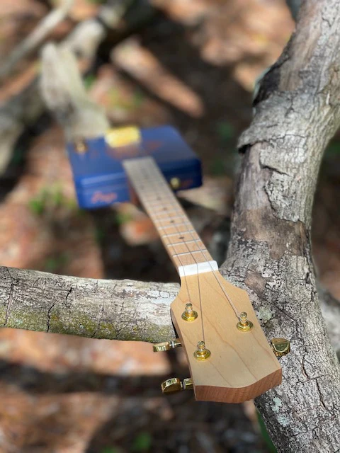 Easy Neck Okume & Maple Fretted Neck | 24 inch Scale - Image 5