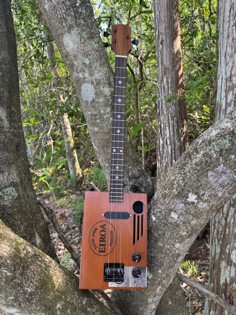 Eiroa 3 or 4 string kit - Image 3