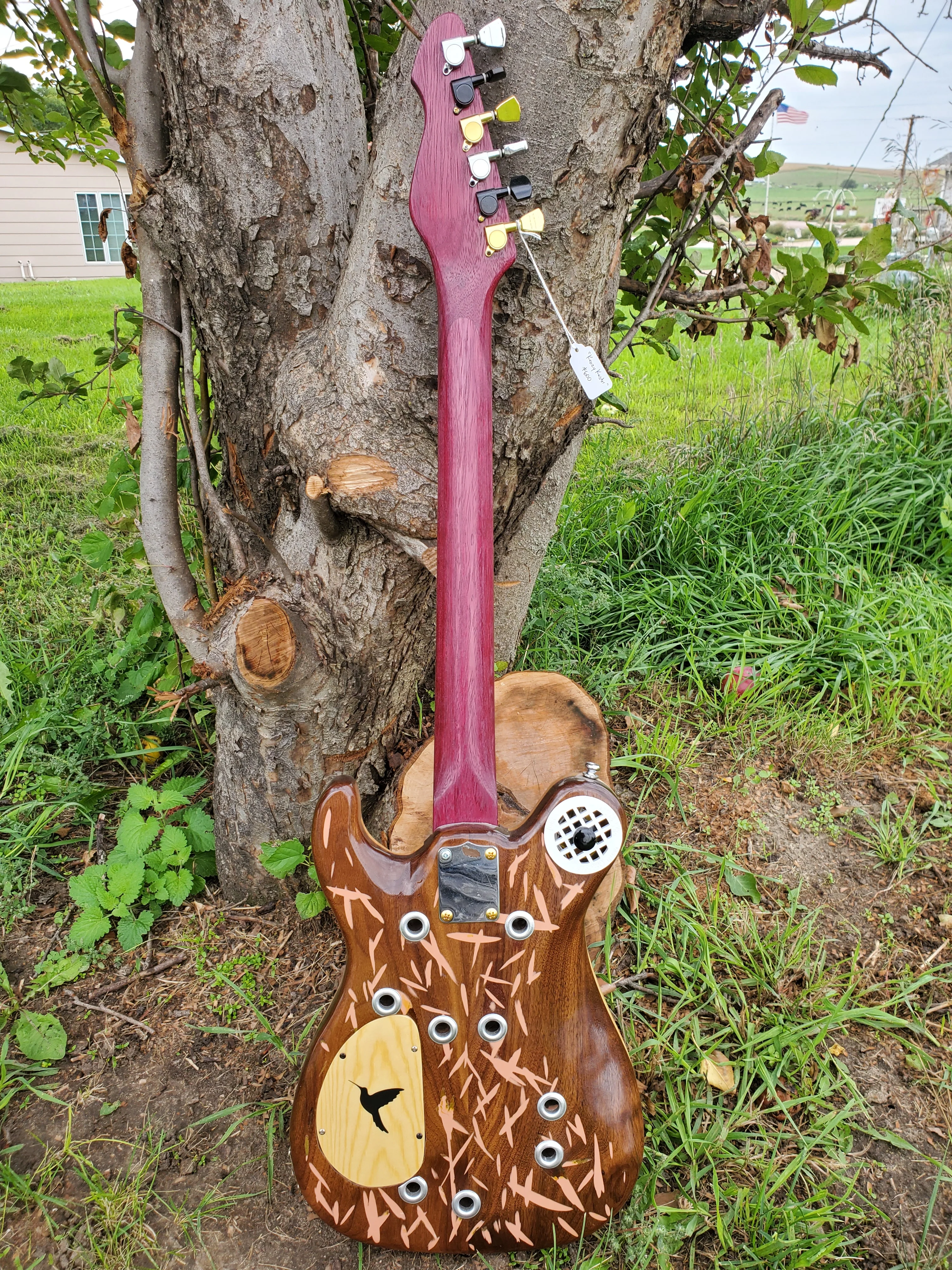 Nebraska, Creighton, Hummingbird Guitars, Jesse Thomas - Image 8