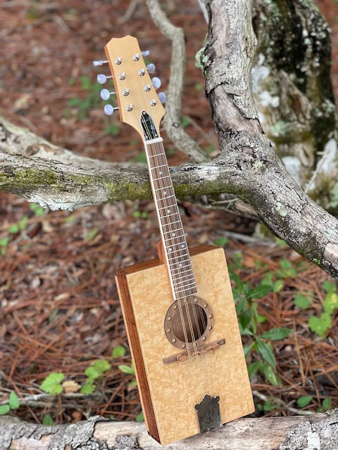 Mandolin Kit
