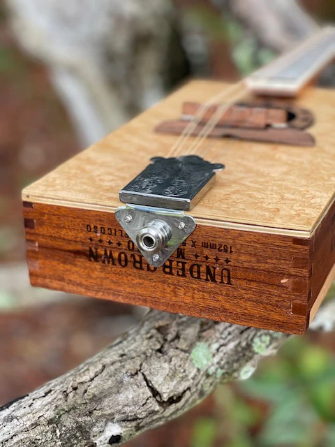 Mandolin Kit - Image 11