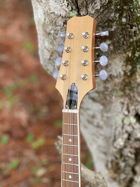 Mandolin Kit - Image 3