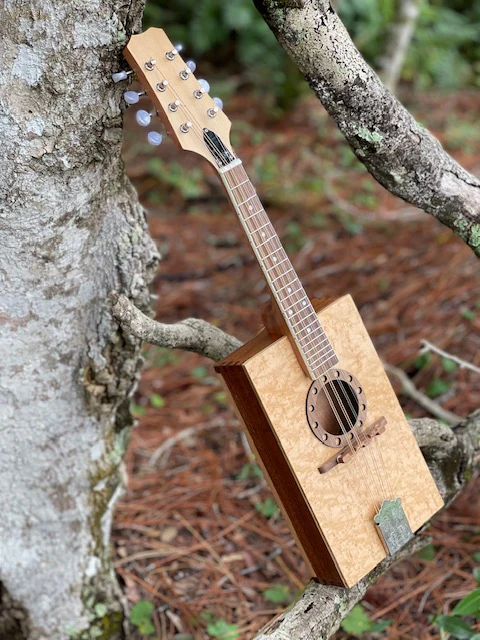 Mandolin Kit - Image 4