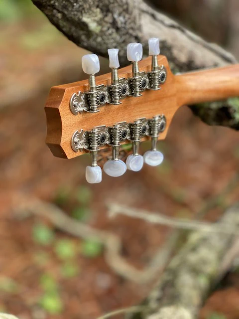 Mandolin Kit - Image 7