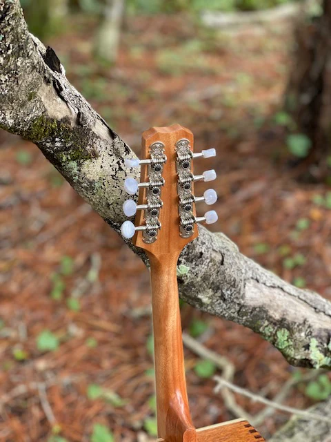 Mandolin Kit - Image 8