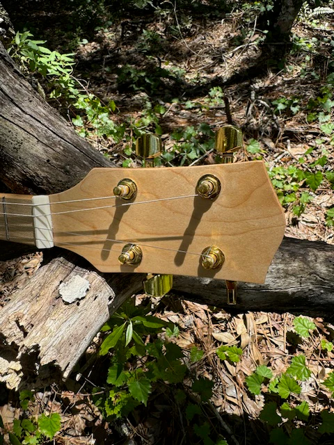 My Father's 3 or 4 String Kit - Image 7