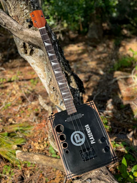 Plasencia 3 or 4 string kit - Image 8