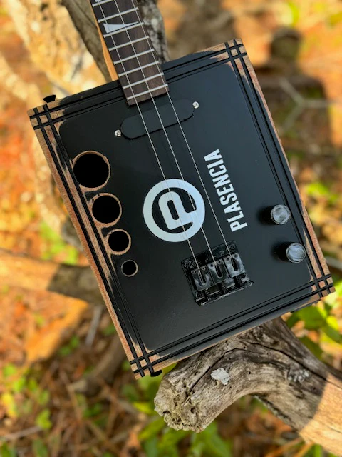 Plasencia 3 or 4 string kit - Image 9