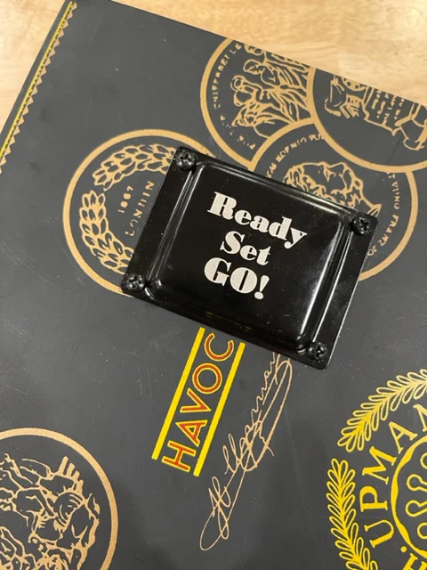 RSG Pickup- Mini Box Bucker or Micro Pup - Image 4
