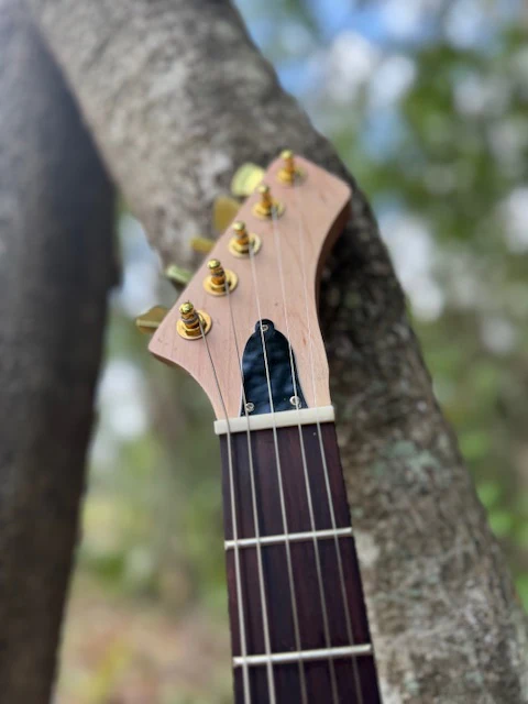 Wise Man 5 String CBG - Image 4